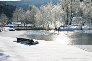 Zugefrorener Teich im großen Park