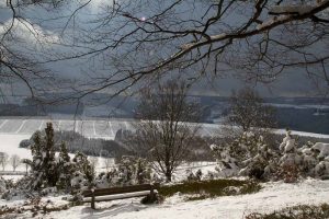Winterliche "Rehhecke"